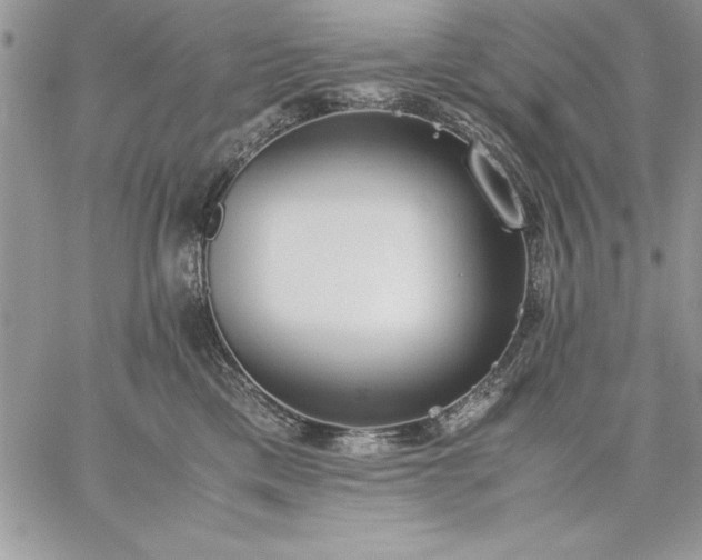 X0000059090425200510172059