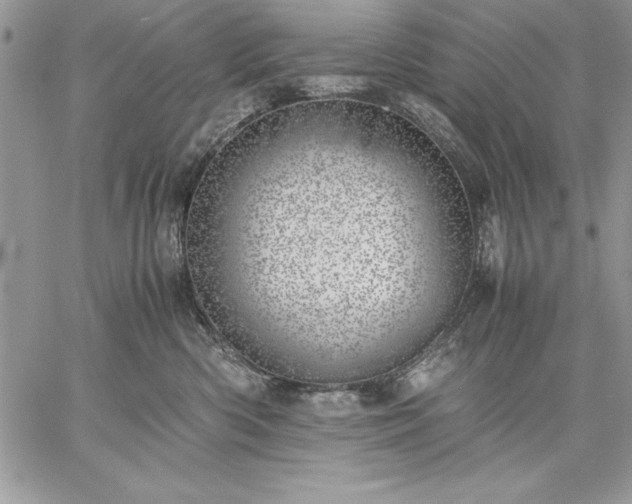 X0000059090426200510172059