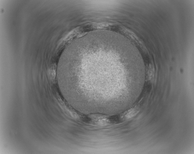 X0000059090427200510172059