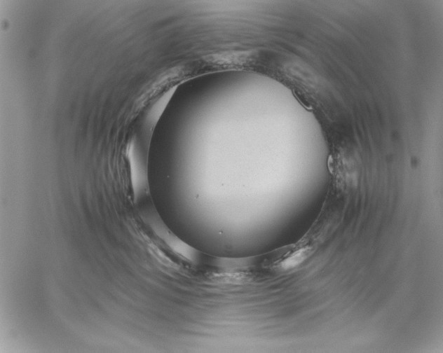 X0000059090428200510172059