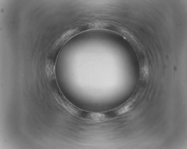 X0000059090429200510172059