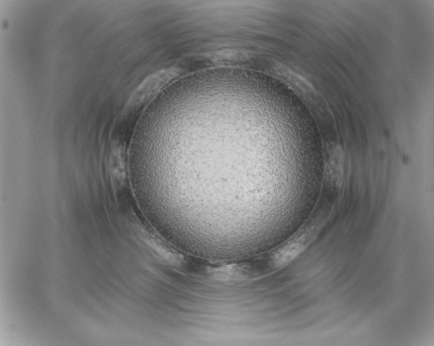 X0000059090430200510172059