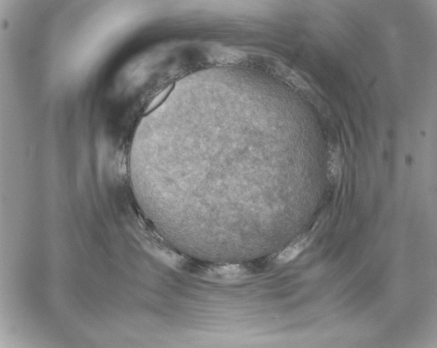 X0000059090431200510172059