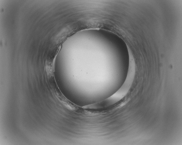 X0000059090432200510172059