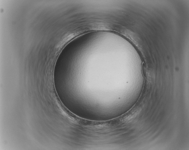 X0000059090433200510172058