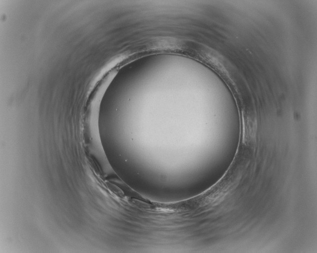 X0000059090435200510172058