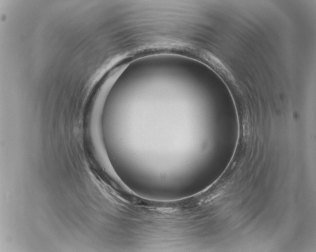 X0000059090436200510172058