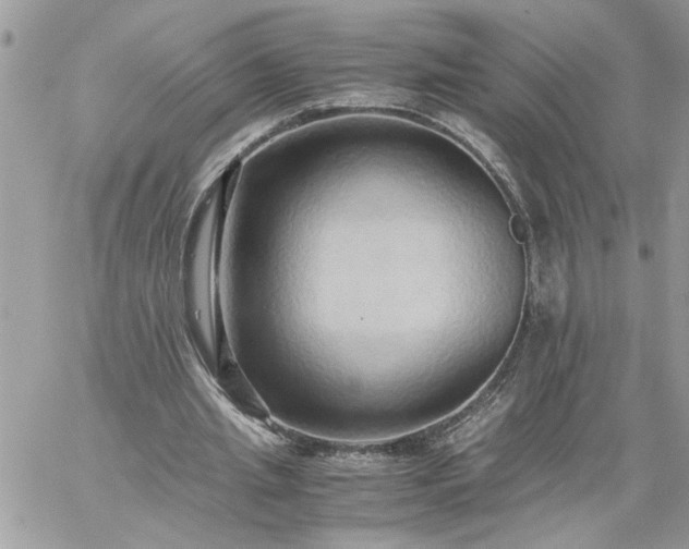 X0000059090437200510172059