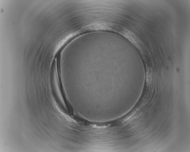 X0000059090438200510172059