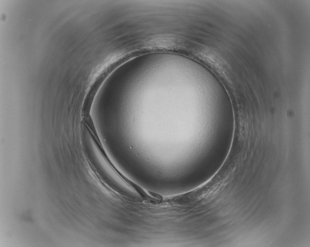 X0000059090439200510172059