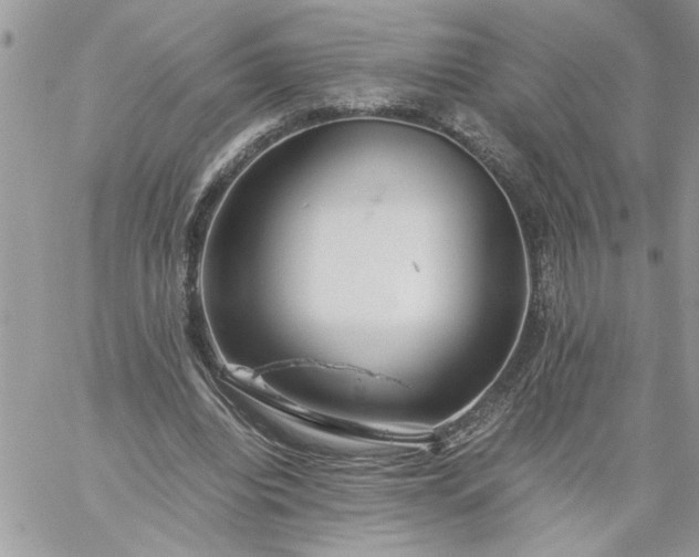 X0000059090440200510172059