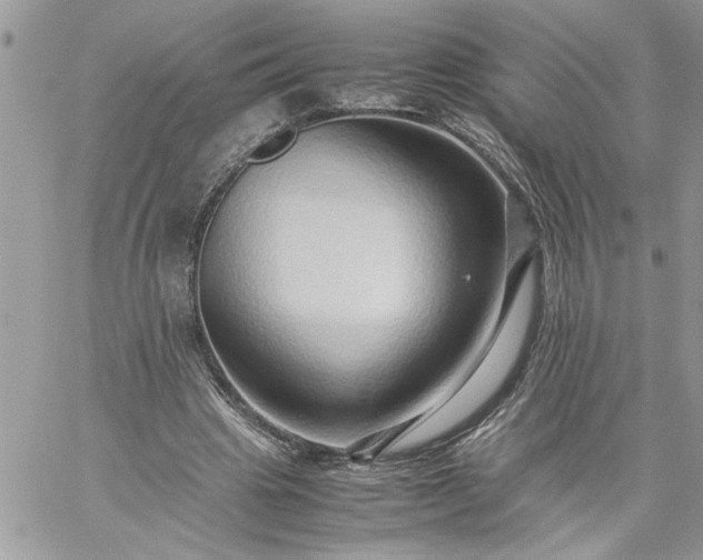 X0000059090441200510172059