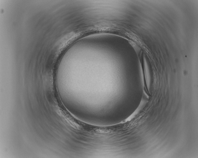 X0000059090442200510172059