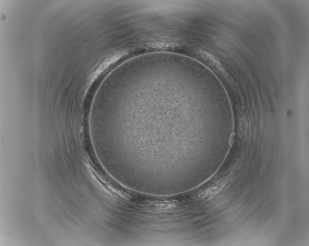 X0000059090443200510172059