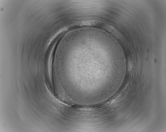 X0000059090444200510172059