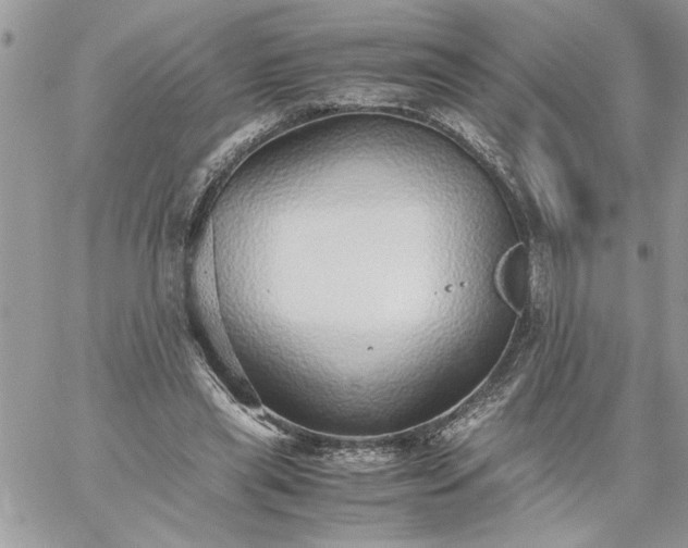 X0000059090445200510172059