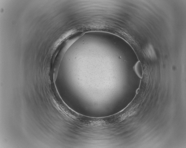 X0000059090446200510172059