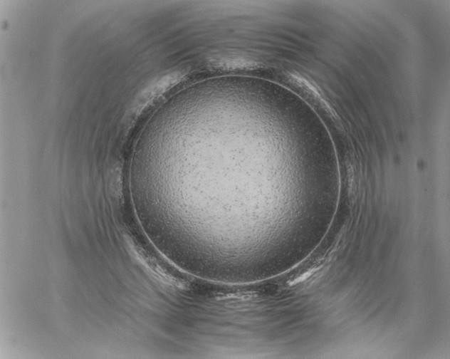 X0000059090447200510172059