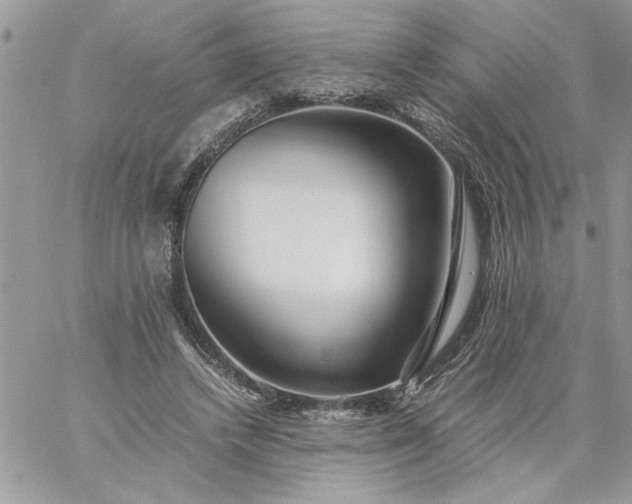 X0000059090448200510172059