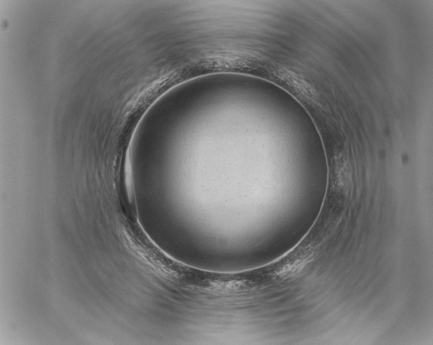 X0000059090450200510172059