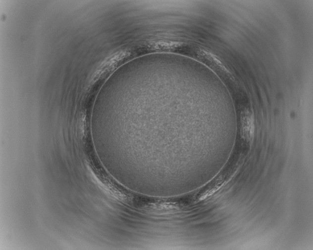 X0000059090451200510172059