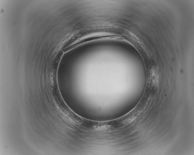 X0000059090452200510172059