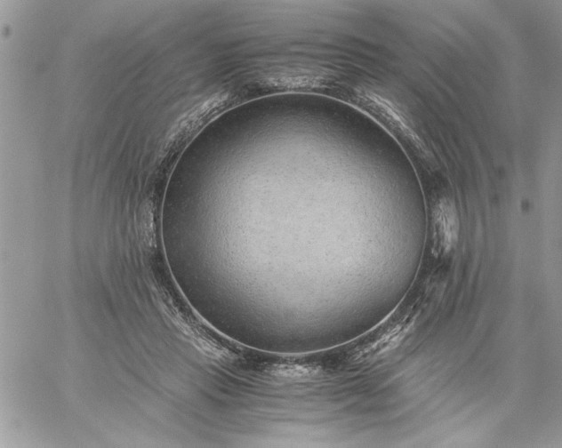 X0000059090453200510172059