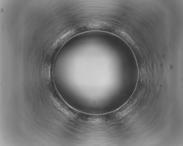 X0000059090454200510172059