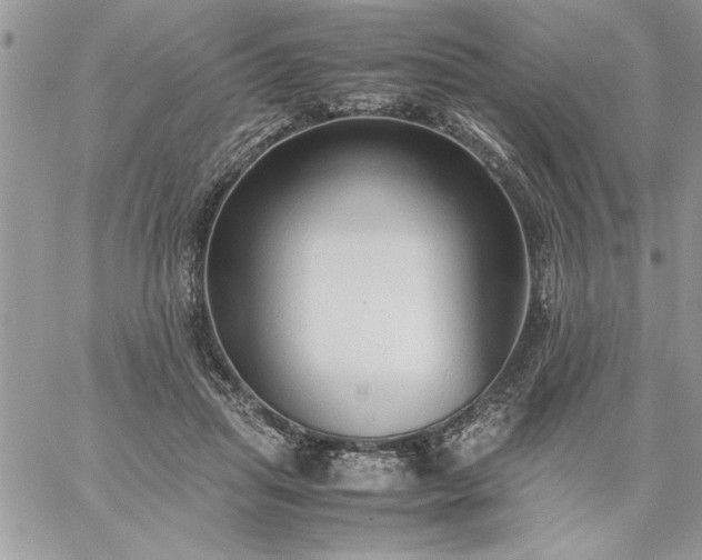 X0000059090455200510172059