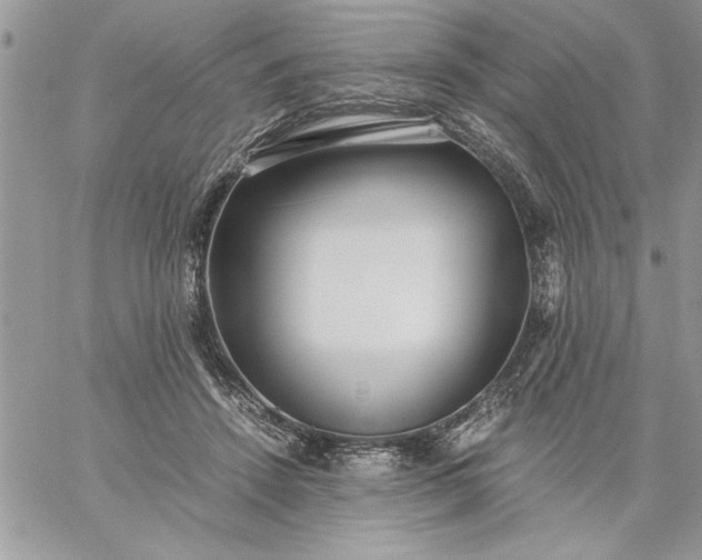 X0000059090456200510172059