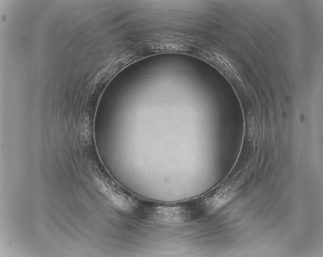 X0000059090457200510172059