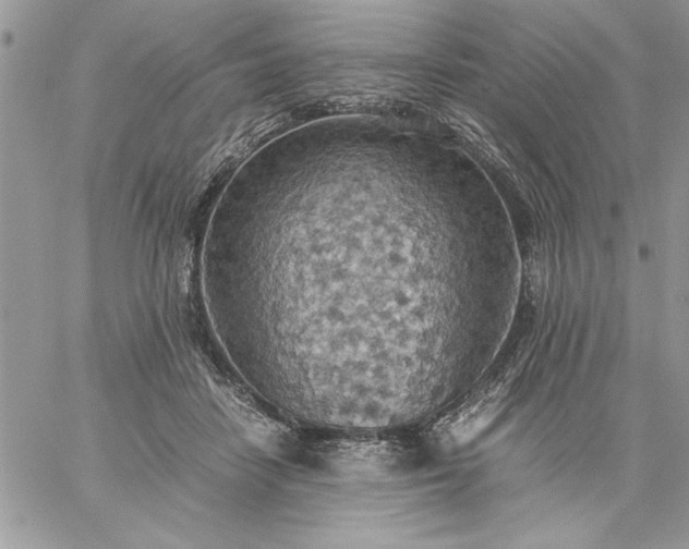 X0000059090458200510172059