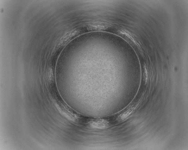 X0000059090459200510172059