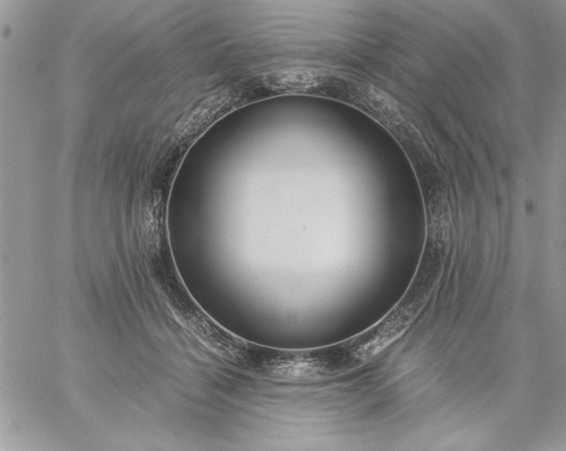 X0000059090460200510172059