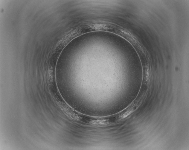 X0000059090461200510172059