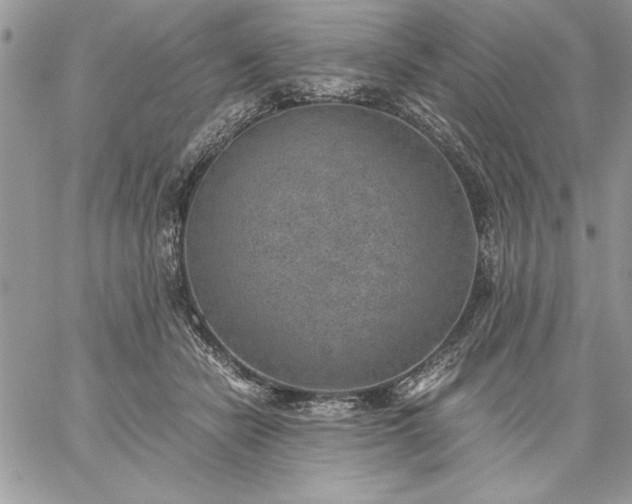 X0000059090462200510172059