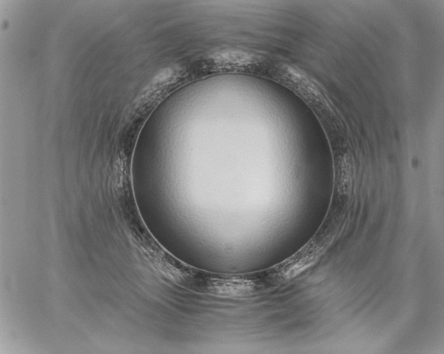 X0000059090463200510172059