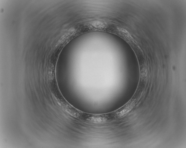 X0000059090464200510172059