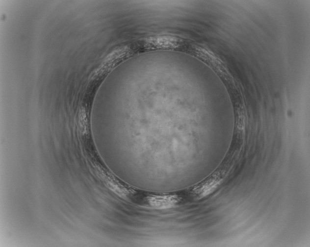 X0000059090465200510172059