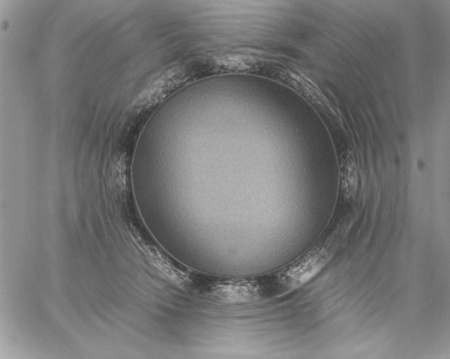 X0000059090466200510172059