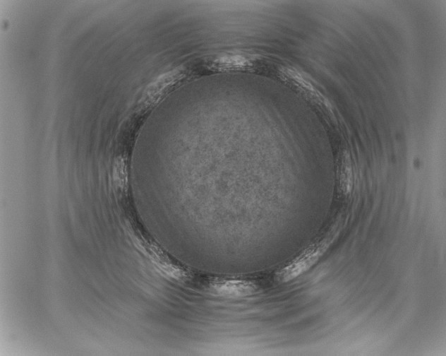 X0000059090467200510172059