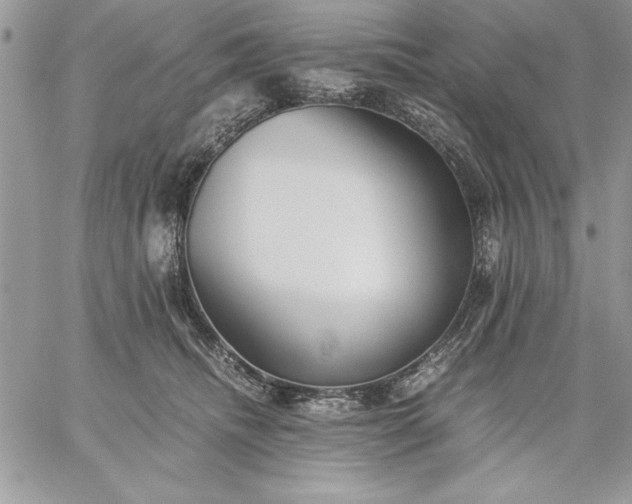 X0000059090468200510172059