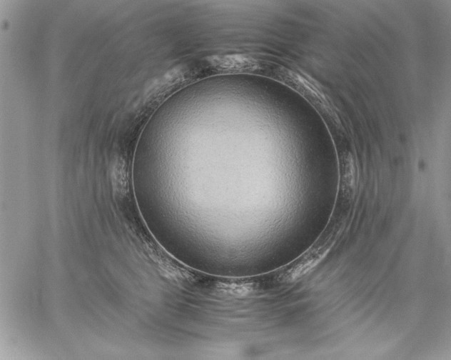 X0000059090469200510172059