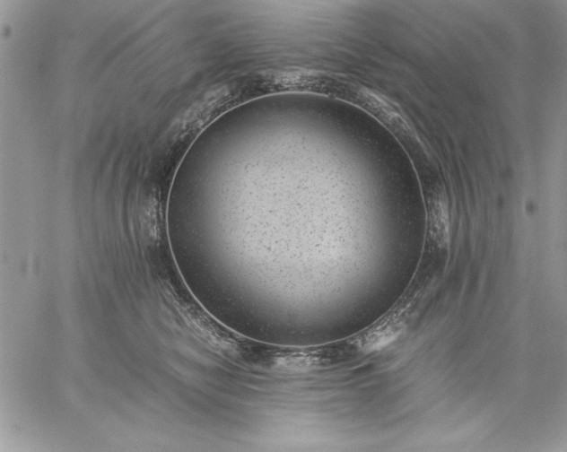 X0000059090470200510172059