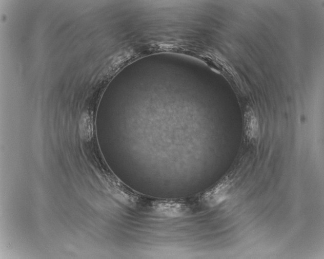 X0000059090471200510172059