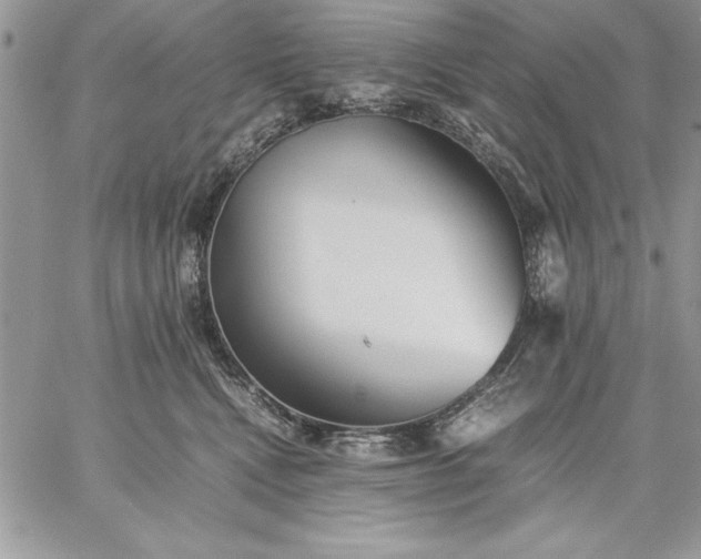 X0000059090472200510172059