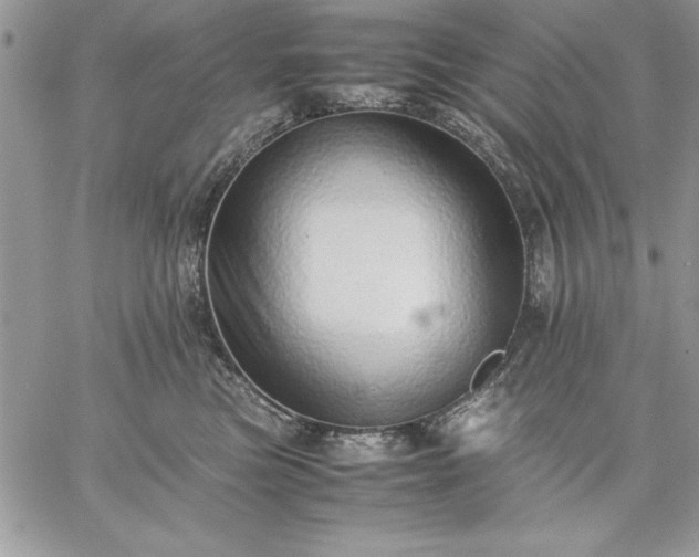 X0000059090473200510172059