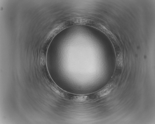 X0000059090474200510172059