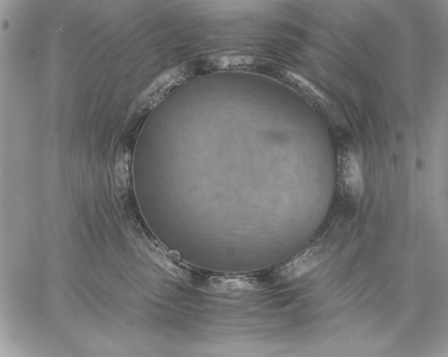 X0000059090475200510172059