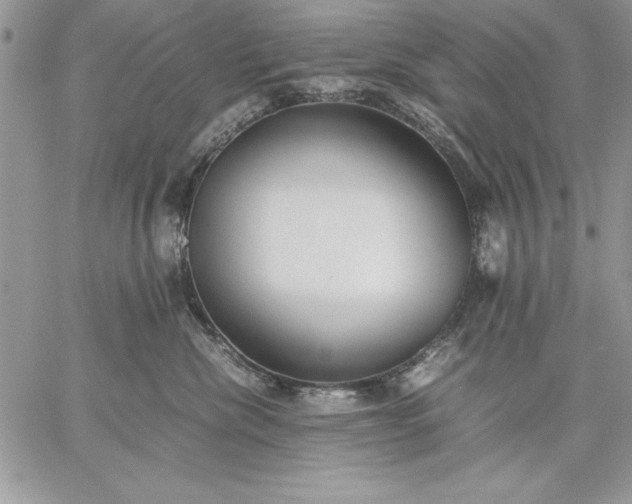 X0000059090476200510172059